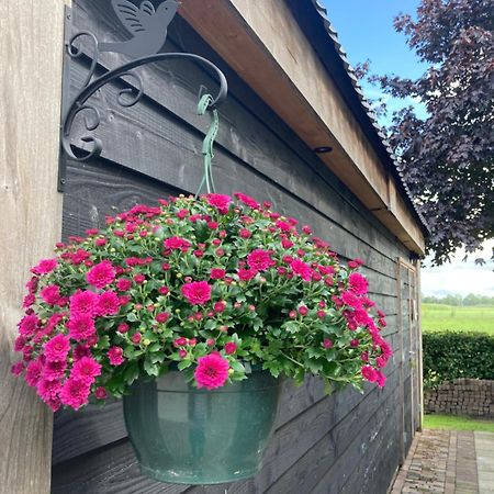 De Barg Villa Vinkenbuurt Екстериор снимка
