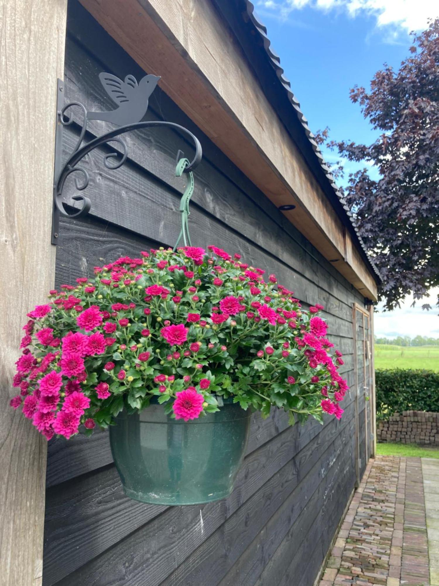 De Barg Villa Vinkenbuurt Екстериор снимка